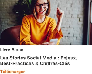 Livre blanc - Stories Social Media : Best Practices